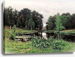 Постер Волков Ефим Пейзаж с прудом. 1887