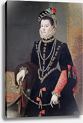 Постер Санчес Коэльо Алонсо Elizabeth de Valois, 1604-8