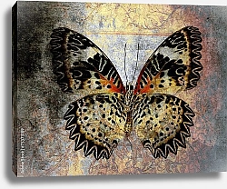 Постер Пёстрая бабочка на гранж текстуре