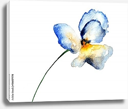 Постер Голубой цветок анютиных глазок