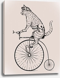 Постер Кошка на ретро велосипеде