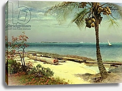 Постер Бирштад Альберт Tropical Coast