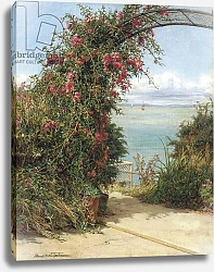 Постер A Garden by the Sea