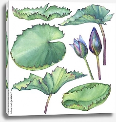 Постер Набор с листьями лотоса