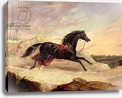 Постер Херринг Джон Arabs chasing a loose arab horse in an eastern landscape