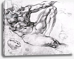 Постер Микеланджело (Michelangelo Buonarroti) Study for the Creation of Adam