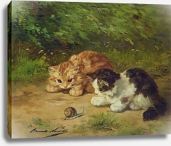 Постер Kittens and snail