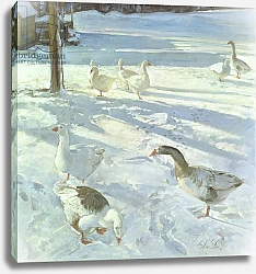 Постер Истон Тимоти (совр) Snowfeeders, 1999