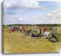 Постер Peasants making hay, near rest time, Russian Empire, 1909