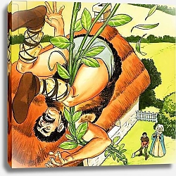 Постер Квинто Надир (дет) Jack and the Beanstalk 10