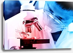 Постер Ученый изучает химический состав жидкости в микроскоп
