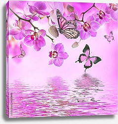 Постер Бабочки и орхидеи в розовом оттенке