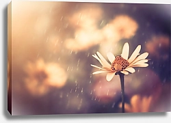 Постер Жёлтый летний цветок под дождем