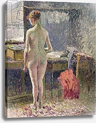 Постер Писсарро Камиль (Camille Pissarro) Female Nude seen from the Back, 1895