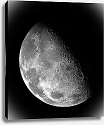 Постер Растущая луна