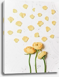 Постер Желтые цветы и лепестки