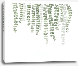 Постер Свисающие зеленые растения