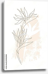 Постер Экзотический цветок непрерывной линией