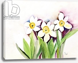 Постер Пушпарадж Нила (совр) Three Daffodils