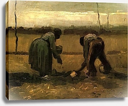 Постер Ван Гог Винсент (Vincent Van Gogh) Крестьянин и крестьянка сажающие картофель