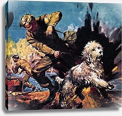 Постер МакКоннел Джеймс Ricky, Dog-o'-War