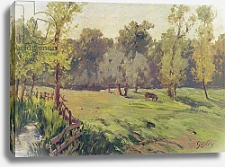 Постер Сислей Альфред (Alfred Sisley) A Pasture with a Stream and an Enclosure, c.1868