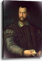 Постер Бронзино Анджело Portrait of Cosimo I de' Medici 1559
