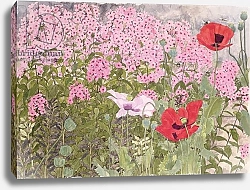 Постер Бентон Линда (совр) Poppies and Phlox