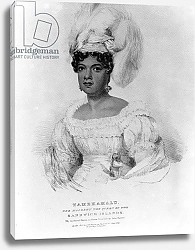Постер Хейтер Джордж Tamehamalu, Her Majesty the Queen of the Sandwich Islands, 1824