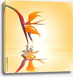 Постер Райский цветок на желтом фоне