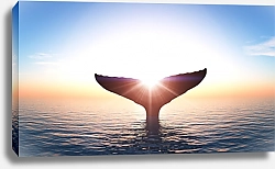 Постер Хвост кита