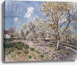 Постер Сислей Альфред (Alfred Sisley) Spring at Veneux, 1880
