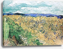 Постер Ван Гог Винсент (Vincent Van Gogh) Пшеничное поле с васильками, 1890