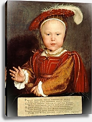 Постер Холбейн Ханс, Младший Portrait of Edward VI as a child, c.1538