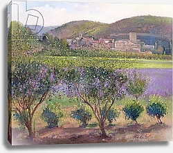 Постер Истон Тимоти (совр) Lavender Seen Through Quince Trees, Monclus