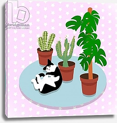 Постер Хантли Клэр (совр) The Cat and the Cacti
