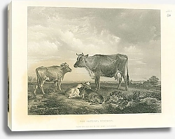 Постер The Pasture; Osborne