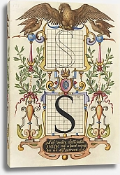 Постер Хофнагель Йорис Guide for Constructing the Letter S