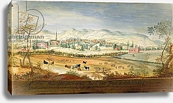 Постер Робинс Томас West Prospect of the Spa and Town of Cheltenham, 1748