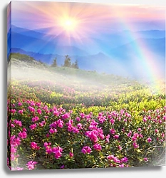 Постер Цветущее поле в горах