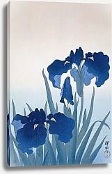 Постер Косон Охара Irises
