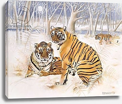 Постер Уоттс Э. (совр) Tigers in the Snow, 2005