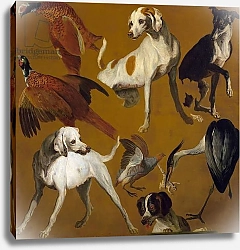 Постер Деспортес Александр Study of birds and dogs, by Alexandre-Francois Desportes, France, 18th century