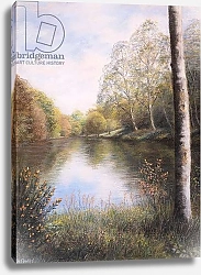 Постер Старкей Марго (совр) River Dart Devon