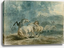 Постер Гилпин Соури (лошади) Horses Fighting