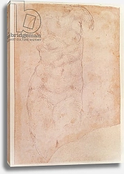 Постер Микеланджело (Michelangelo Buonarroti) Study of a Female Nude