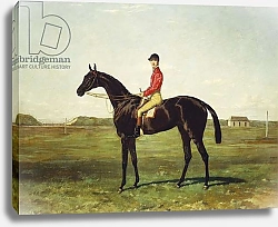 Постер Холл Гарри A Racehorse with Jockey Up on the Racetrack at Newmarket