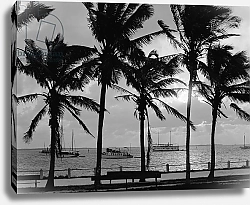 Постер Неизвестен Sunset, Biscayne Bay, Miami, Florida, c.1910-20