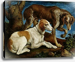 Постер Бассано Якопо Two Hunting Dogs Tied to a Tree Stump, c.1548-50