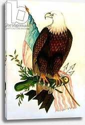 Постер Школа: Америка (18 в) Bald eagle with flag
